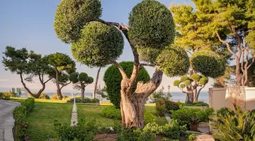 Aegean Melathron Thalasso and Spa