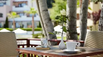 Aegean Melathron Thalasso and Spa