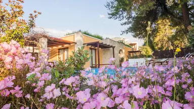 AEGEAN MELATHRON THALASSO SPA HOTEL