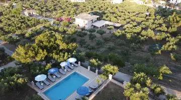 Aeolos Zante Villas