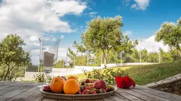 Aeolos Zante Villas