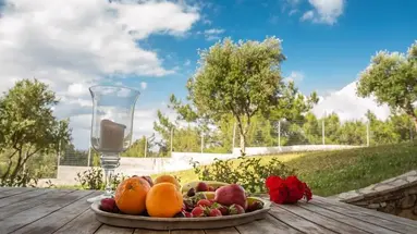 Aeolos Zante Villas