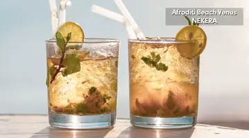 Afroditi Venus Hotel