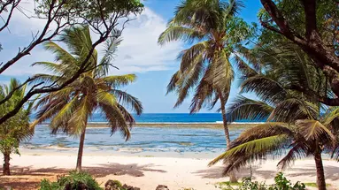 AFRYKA DZIKA + 3 noclegi w Hotelu Neptun Palm Beach Boutique Resort&Spa