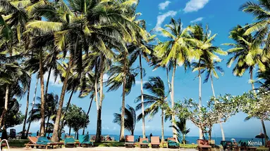 AFRYKA DZIKA + 3 noclegi w Travellers Beach Hotel&Club
