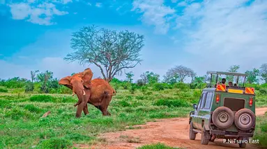 AFRYKA DZIKA + 3 noclegi w Travellers Beach Hotel&Club