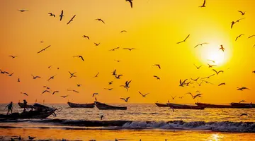 Afryka naturalnie dzika