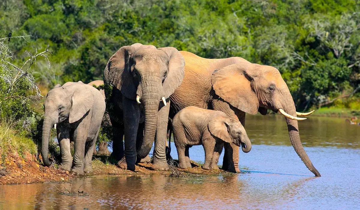 Wodospady Wiktorii wycieczki 2025/2026 - Urlop.pl