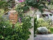 Agapi Beach Resort
