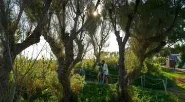 Agapi Beach Resort