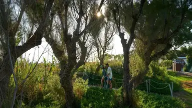 Agapi Beach Resort