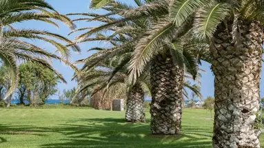 Agapi Beach Resort