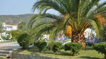Aggelos Family Hotel