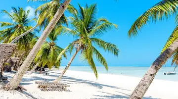 Ahoj Madagaskar!