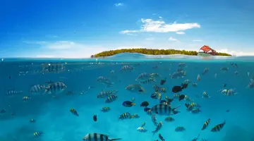 Ahoj Zanzibar! Rejs I Safari W Parku Narodowym Saadani
