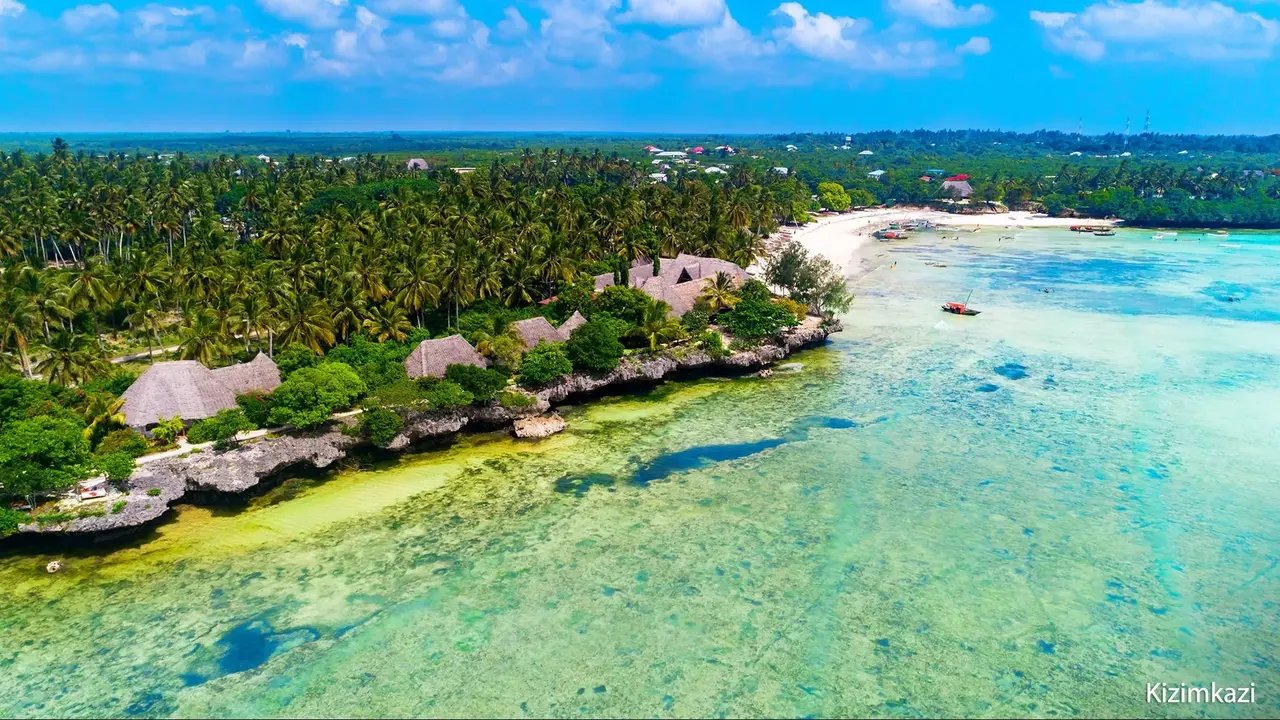 Ahoj Zanzibar! Rejs I Safari W Parku Narodowym Saadani