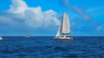 Ahoj Zanzibar! Rejs I Safari W Parku Narodowym Saadani