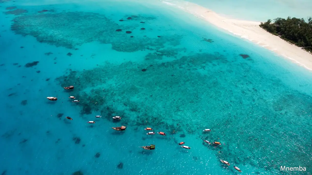 Ahoj Zanzibar! Rejs I Safari W Parku Narodowym Saadani
