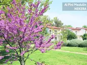 Ai Pini Medulin Resort