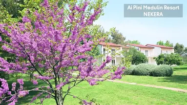Ai Pini Medulin Resort