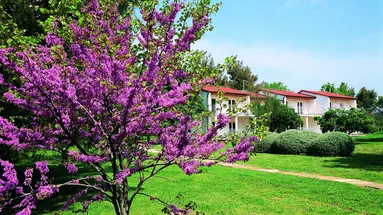 Ai Pini Resort - Medulin