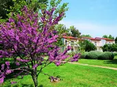 Ai Pini Resort - Medulin