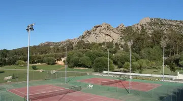 Airone