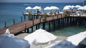 AKRA KEMER