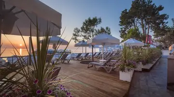 AKRA KEMER