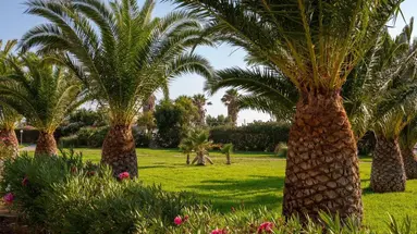 Akti Beach Club