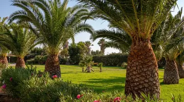 Akti Beach Club
