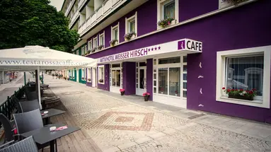 Aktivhotel Weißer Hirsch