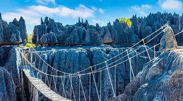 Aktywny Madagaskar: Dżungla, Tsingy I Ocean