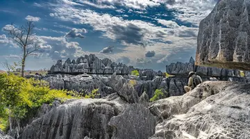 Aktywny Madagaskar: Dżungla, Tsingy I Ocean