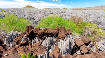 Aktywny Madagaskar: Dżungla, Tsingy I Ocean