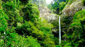 Aktywny Madagaskar: Dżungla, Tsingy I Ocean