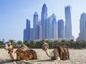 Al Habtoor Grand Resort, Autograph Collection