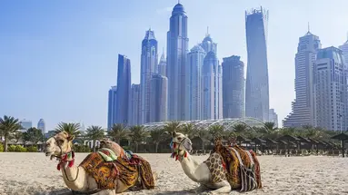 Al Habtoor Grand Resort, Autograph Collection