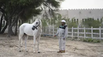 Al Samriya, Doha, Autograph Collection