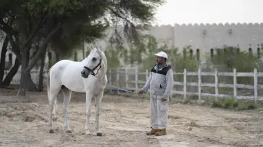 Al Samriya, Doha, Autograph Collection