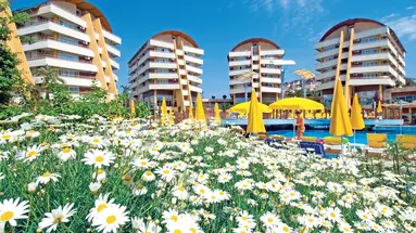 ALAIYE RESORT & SPA