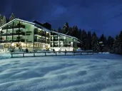 Alaska Folgarida