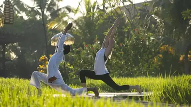 Alaya Resort Ubud