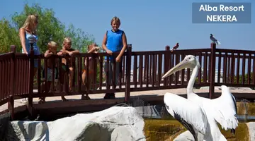 ALBA RESORT
