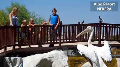ALBA RESORT