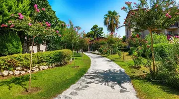 Alba Resort