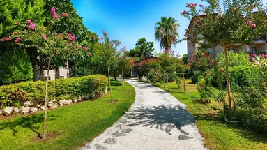 Alba Resort