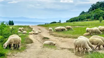 Albania bez pośpiechu