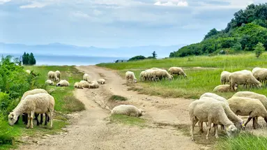 Albania bez pośpiechu