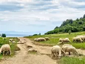 Albania bez pośpiechu